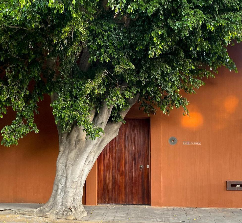Casa Carmen Reforma Hotell Oaxaca Exteriör bild