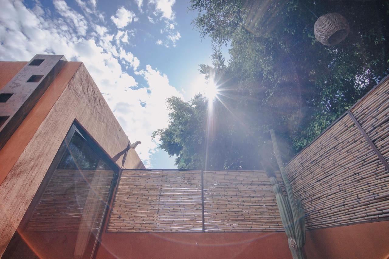 Casa Carmen Reforma Hotell Oaxaca Exteriör bild