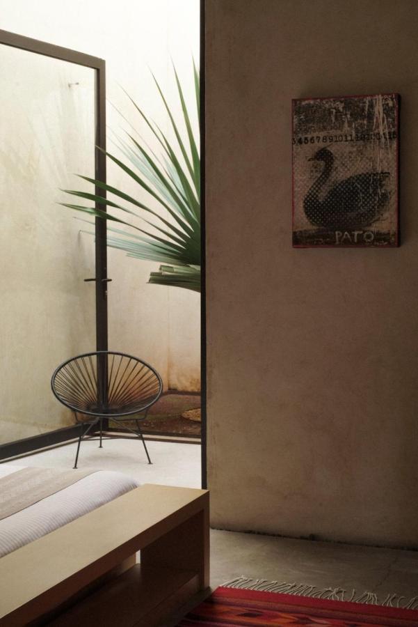 Casa Carmen Reforma Hotell Oaxaca Exteriör bild