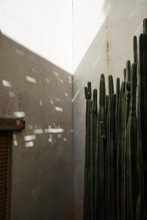 Casa Carmen Reforma Hotell Oaxaca Exteriör bild