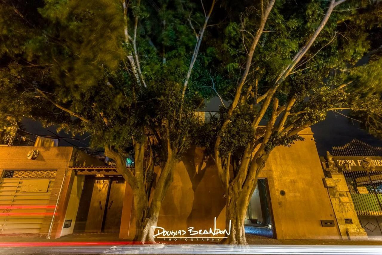 Casa Carmen Reforma Hotell Oaxaca Exteriör bild